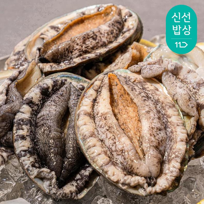 완도 활 전복1kg 7-8미 특대전복 횟감용 구이용 살아서도착 + 세척솔 증정 가격 비교 완도맘 완도 활 전복1kg 7-8미 특대전복 횟감용 구이용 살아서도착 + 세척솔 증정